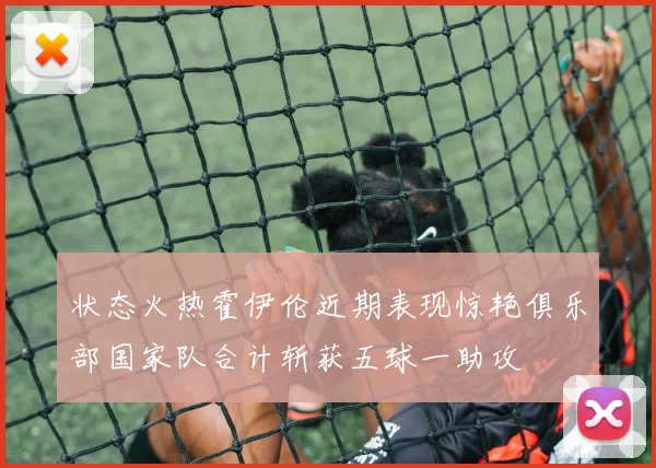 状态火热霍伊伦近期表现惊艳俱乐部国家队合计斩获五球一助攻